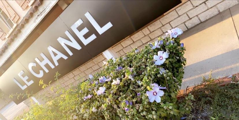 Hotel Restaurant Le Chanel Villieu Eksteriør bilde